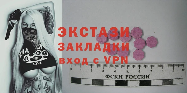 стаф Алзамай