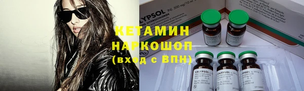 стаф Алзамай