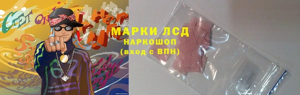 стаф Алзамай
