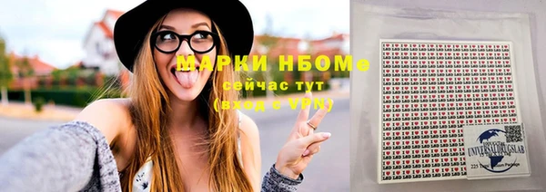 ешки Алексин