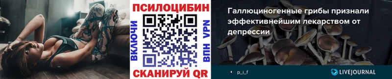 Купить где  Магнитогорск  Псилоцибиновые грибы Cubensis 